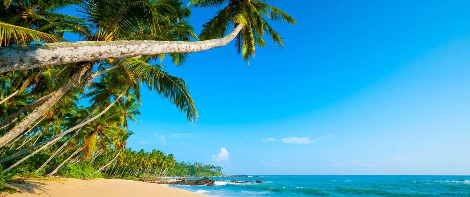 Multitude de petites plages aux eaux turquoises et au sable blanc tout autour de l’îlot de Rolas, Sao Tomé-et-Principe