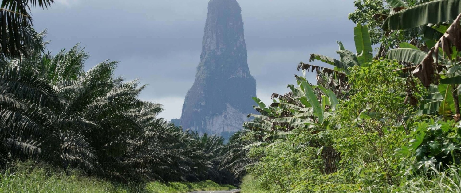 Le Parc Naturel de Ôbo à la végétation luxuriante recouvre 30% de l’île de Sao Tomé