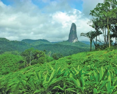 Trekking avec guide à travers la forêt tropicale du parc naturel de Ôbo pour finalement atteindre Lagoa Amélia, ancien cratère situé dans un endroit privilégié de l'île de Sao Tomé