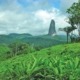 Trekking avec guide à travers la forêt tropicale du parc naturel de Ôbo pour finalement atteindre Lagoa Amélia, ancien cratère situé dans un endroit privilégié de l'île de Sao Tomé