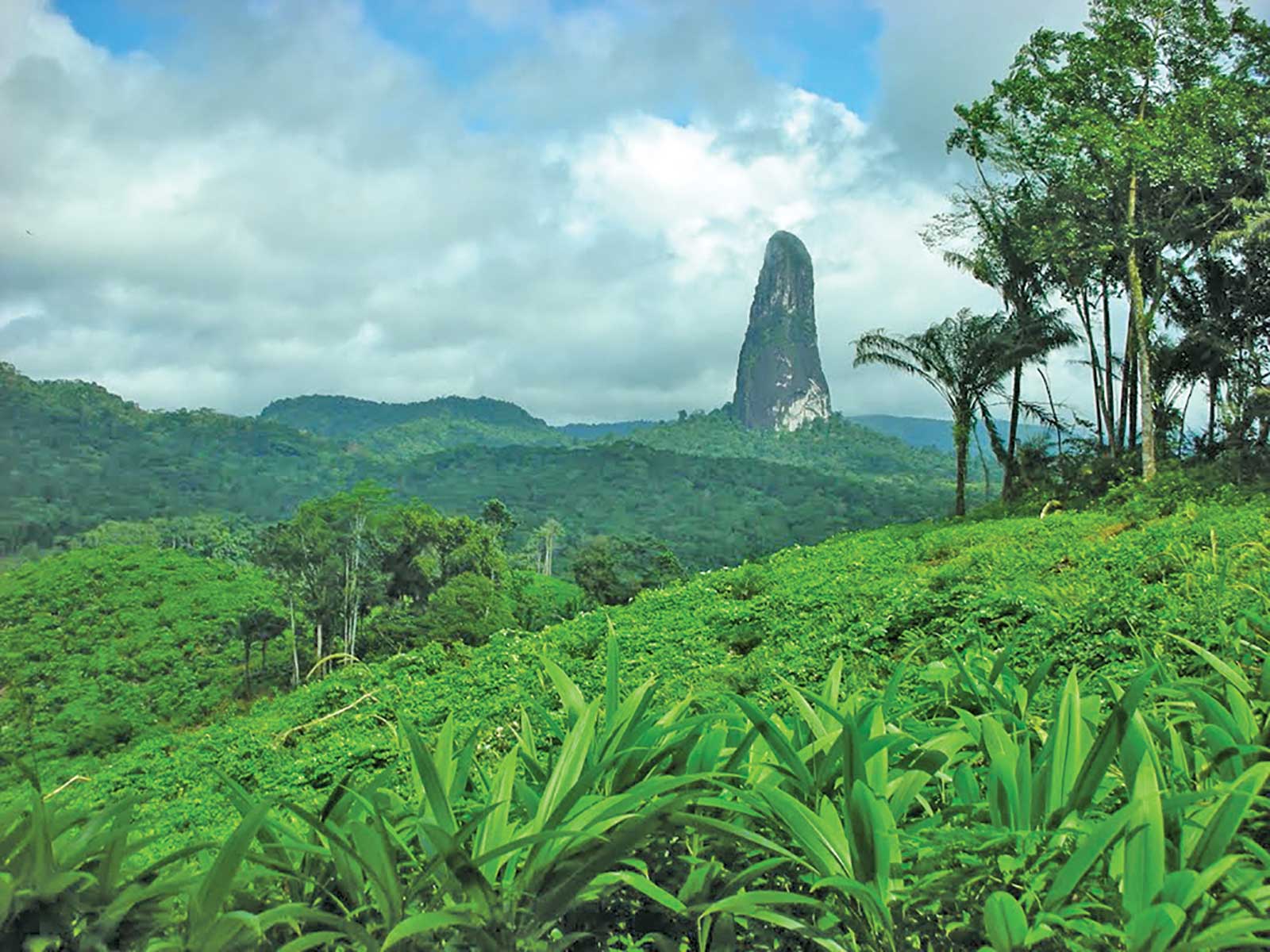 Trekking avec guide à travers la forêt tropicale du parc naturel de Ôbo pour finalement atteindre Lagoa Amélia, ancien cratère situé dans un endroit privilégié de l'île de Sao Tomé