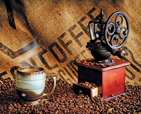 Visite de plantations de café, flore tropicale, plantes médicinales endémiques et orchidées, île de Sao Tomé