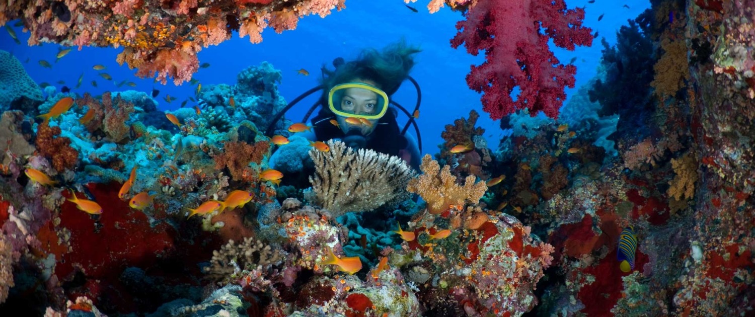 richesse préservée de la faune et de la flore, font de Sao Tomé-et-Principe une destination d’exception pour les amateurs de plongée et de snorkeling