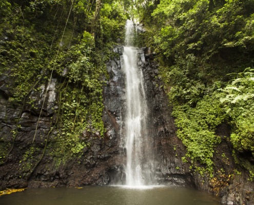 Sentier pédestre à travers forêts et plantations abandonnées et rafraîchissement dans l’une des plus belles cascades de l’île