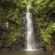 Sentier pédestre à travers forêts et plantations abandonnées et rafraîchissement dans l’une des plus belles cascades de l’île