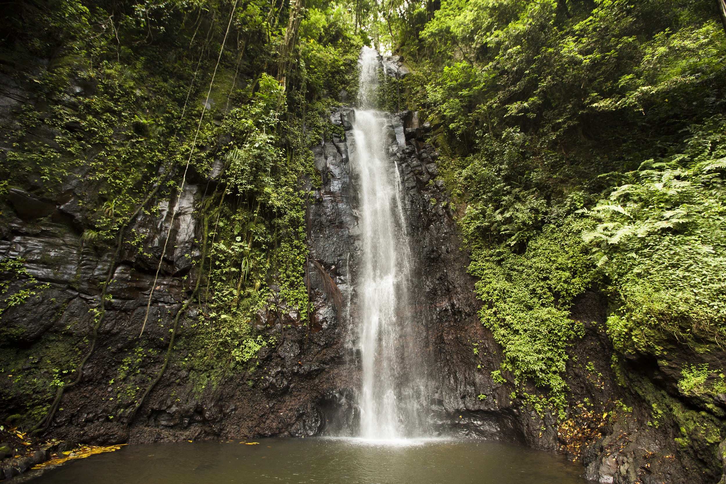 Sentier pédestre à travers forêts et plantations abandonnées et rafraîchissement dans l’une des plus belles cascades de l’île