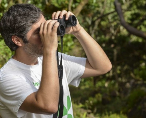 Sur l’île de Principe, observer plus de 20 espèces endémiques de l’archipel au moyen de jumelles