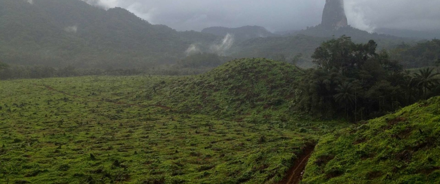 Parc Naturel de Ôbo et vue sur le Pico do Cão Grande, parcourir l'île de Sao Tomé en séjournant dans de petites structures rurales