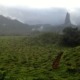 Parc Naturel de Ôbo et vue sur le Pico do Cão Grande, parcourir l'île de Sao Tomé en séjournant dans de petites structures rurales