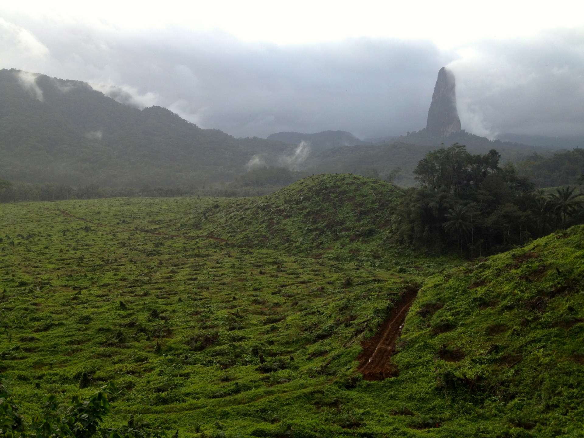 Parc Naturel de Ôbo et vue sur le Pico do Cão Grande, parcourir l'île de Sao Tomé en séjournant dans de petites structures rurales