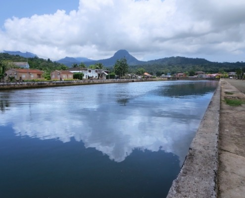 Randonnée à la découverte du pic emblématique de l’île de Principe, le Pico Papagaio, et des oiseaux endémiques, plantes médicinales et singes