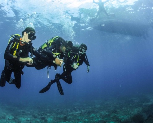 SEP Voyages et son partenaire à Sao Tomé-et-Principe, Costa Norte Fishing & Diving Center: découverte de la richesse des fonds marins de l’archipel