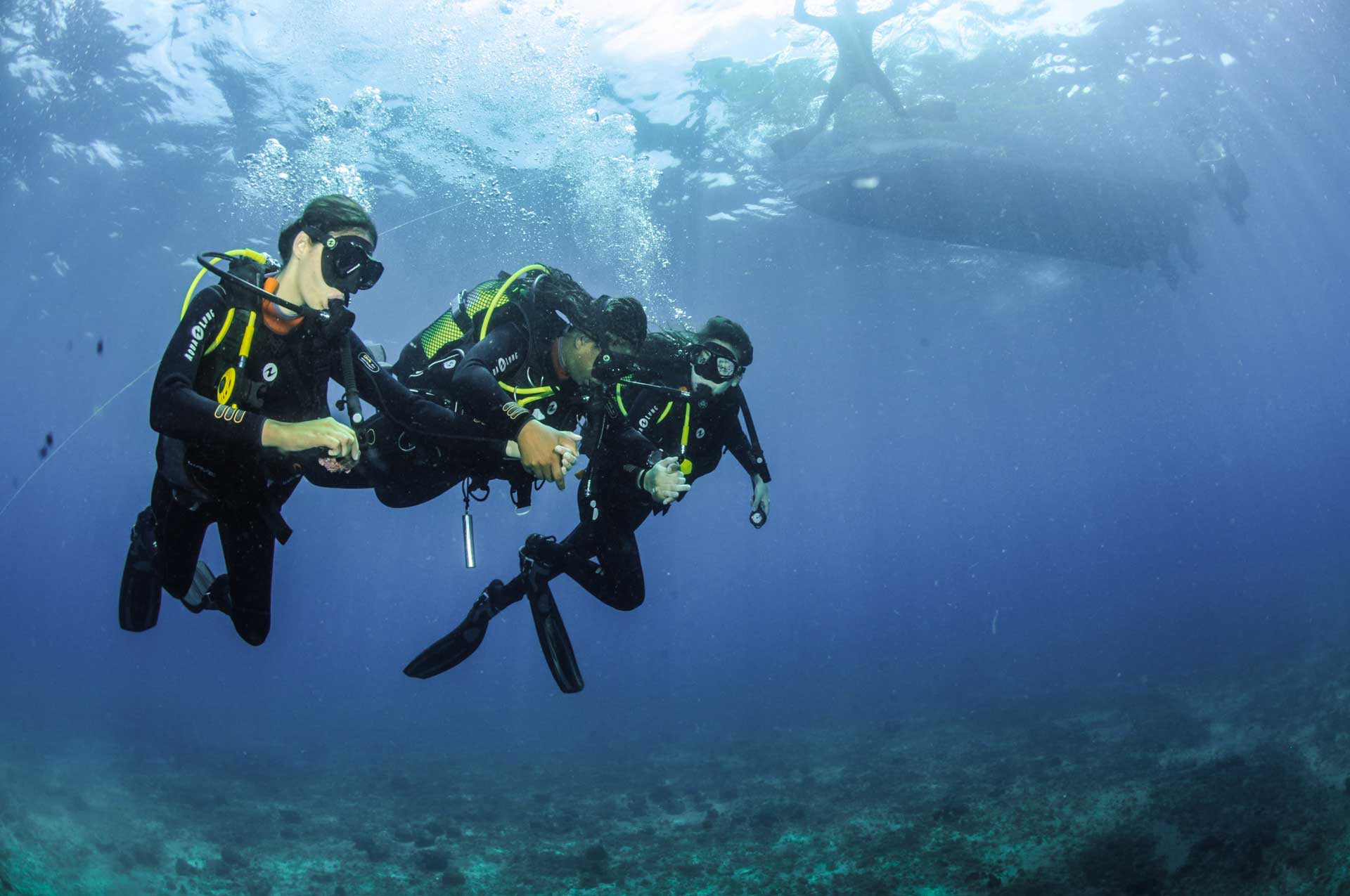 SEP Voyages et son partenaire à Sao Tomé-et-Principe, Costa Norte Fishing & Diving Center: découverte de la richesse des fonds marins de l’archipel